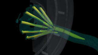 Velocity iso-surfaces showing the ten nitrous jets leaving the injector face and merging into one core